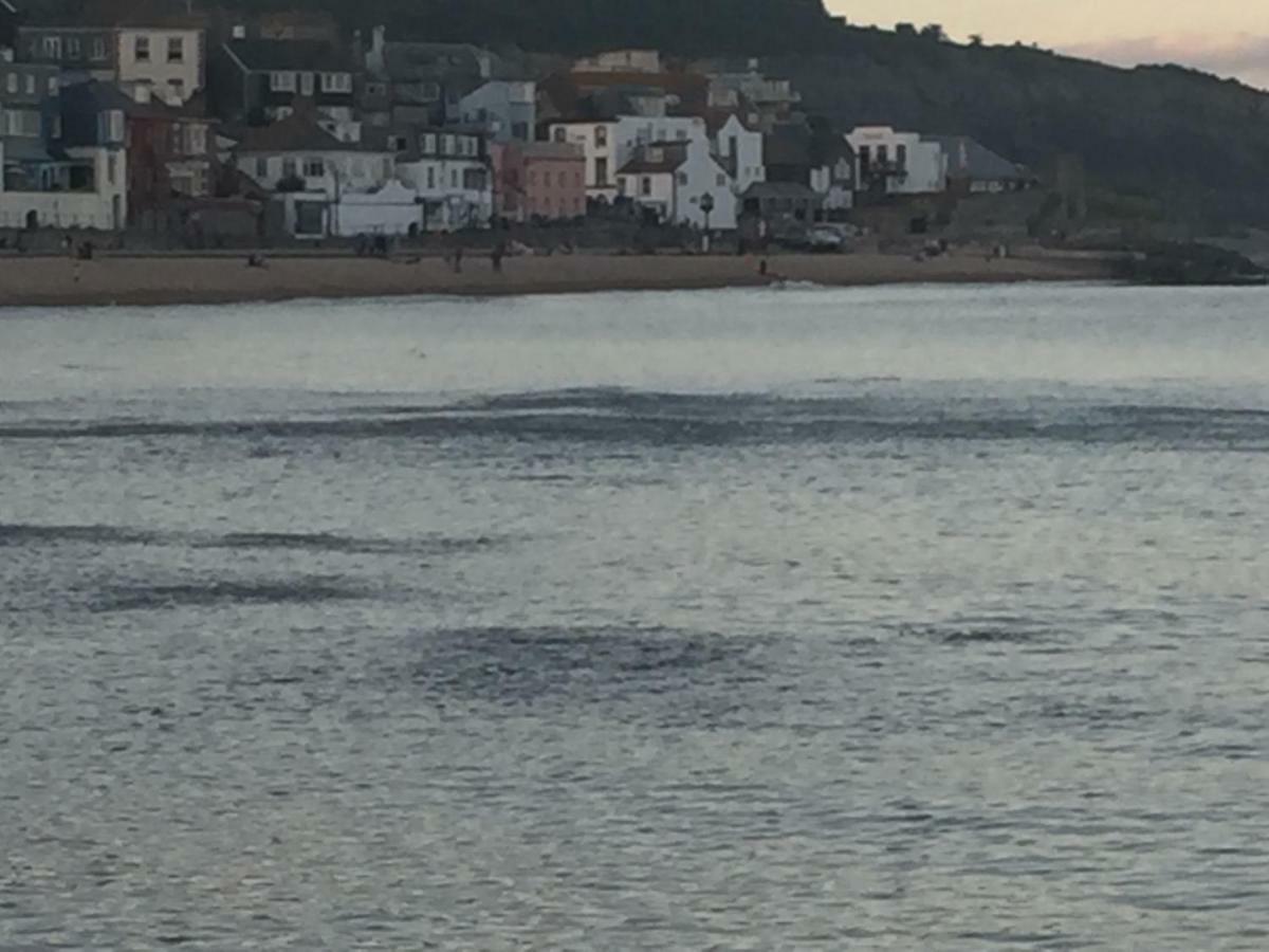 Little Monmouth 4 Bedroom Cottage, Old Town Lyme Regis, Dog Friendly And Parking Exteriör bild